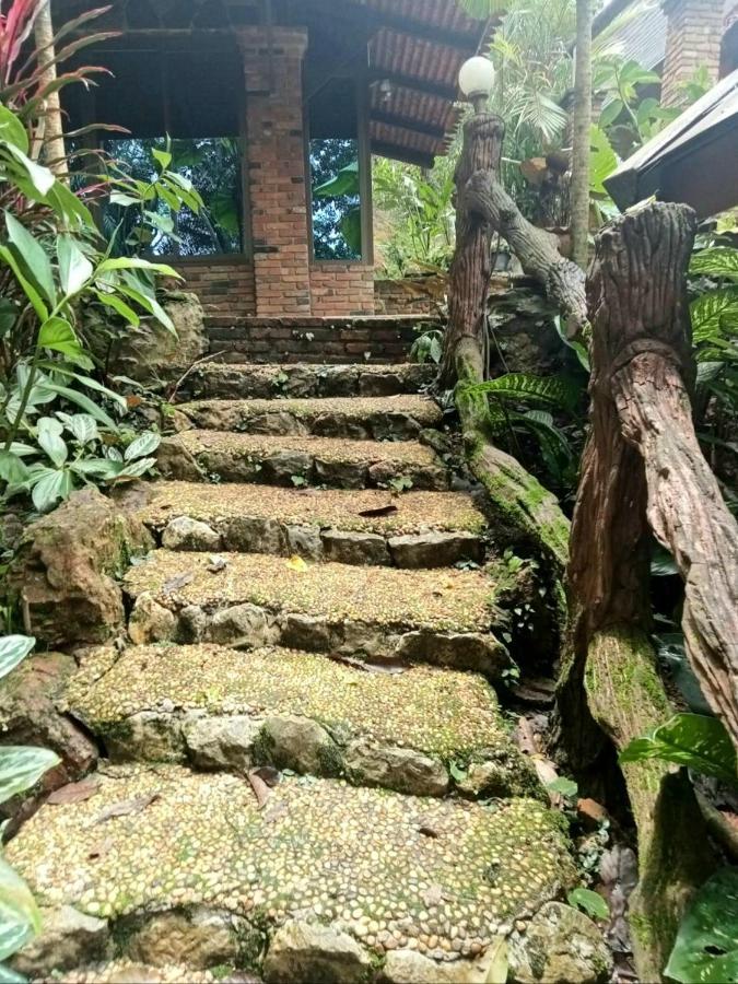 सहारा Khao Sok Orquideas